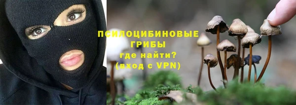 мяу мяу кристалл Алексин